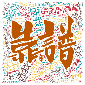选我 你明智的选择 金刚跆拳道-wordart poster
