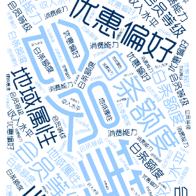 会员等级 消费能力 优惠偏好 地域属性 收入水平 白条额度-wordart poster