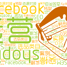 shopify Facebook 运营 实操 选品类目 案例 实操 转型 SEO SEM 资源对接-wordart poster