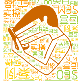 运营 实操 选品类目 案例 实操 转型 SEO SEM 资源对接-wordart poster